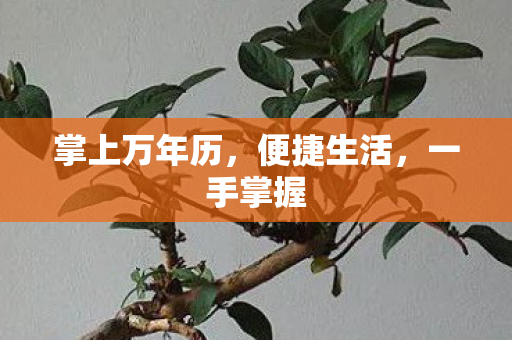 掌上万年历图片