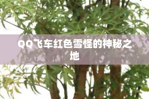QQ飞车红色雪怪的神秘之地图片