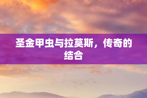 圣金甲虫与拉莫斯图片