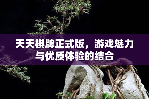 游戏魅力与优质体验的结合图片