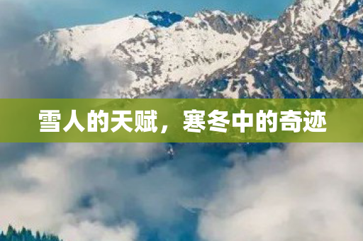寒冬中的奇迹图片