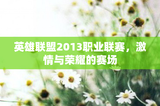 英雄联盟2013职业联赛图片