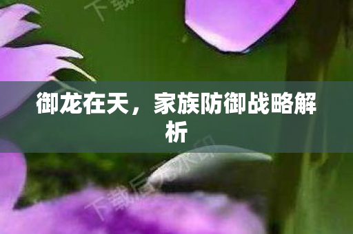 家族防御战略解析图片