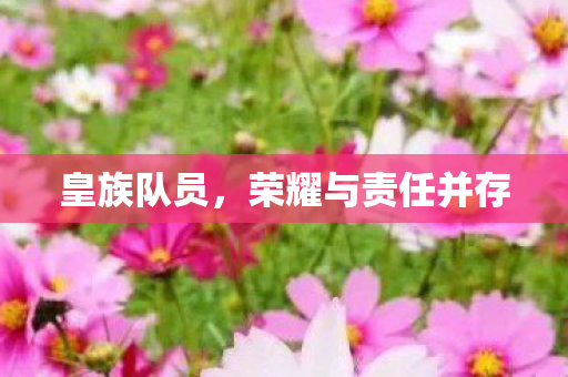 荣耀与责任并存图片