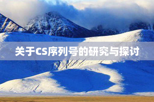 关于CS序列号的研究与探讨图片