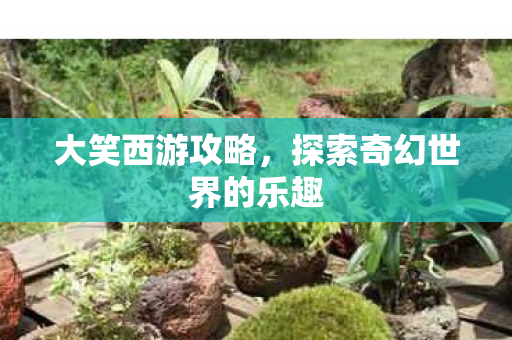 探索奇幻世界的乐趣图片