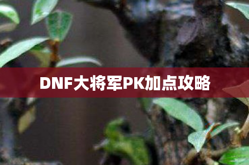 DNF大将军PK加点攻略图片