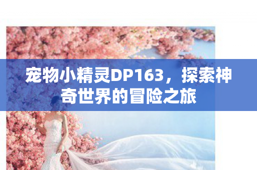 探索神奇世界的冒险之旅图片