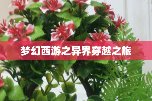 梦幻西游之异界穿越之旅图片