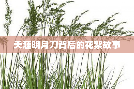 天涯明月刀背后的花絮故事图片