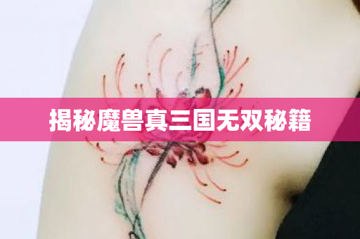揭秘魔兽真三国无双秘籍图片