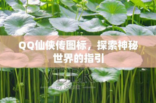 探索神秘世界的指引图片