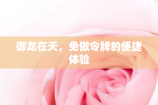 免做令牌的便捷体验图片