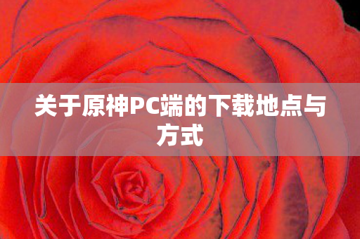 关于原神PC端的下载地点与方式图片