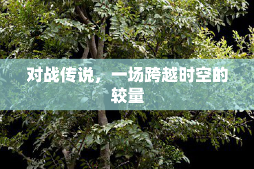 一场跨越时空的较量图片