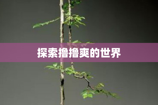 探索撸撸爽的世界图片
