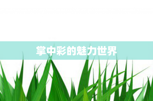 掌中彩的魅力世界图片
