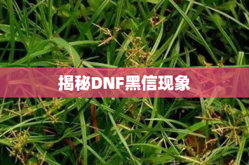 揭秘DNF黑信现象图片