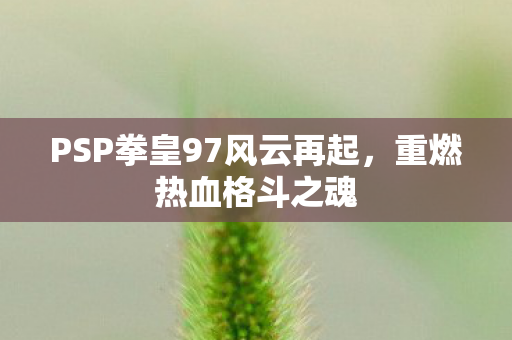 PSP拳皇97风云再起图片