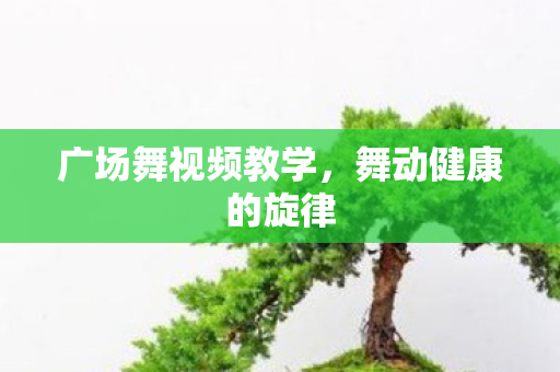 广场舞视频教学图片