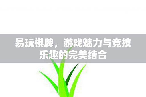 游戏魅力与竞技乐趣的完美结合图片