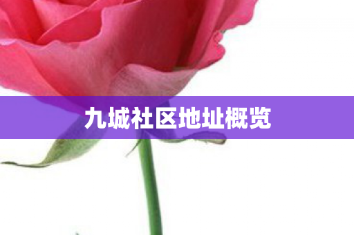 九城社区地址概览图片