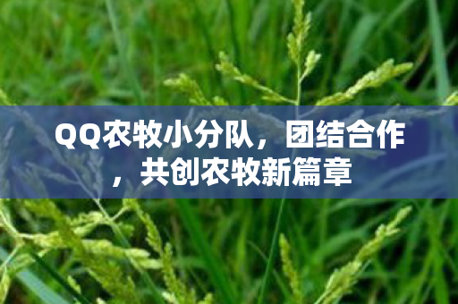 QQ农牧小分队图片
