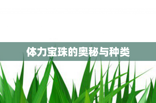 体力宝珠的奥秘与种类图片