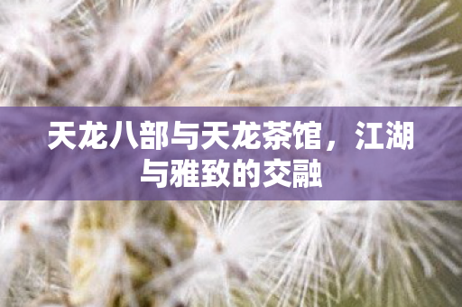 天龙八部与天龙茶馆图片