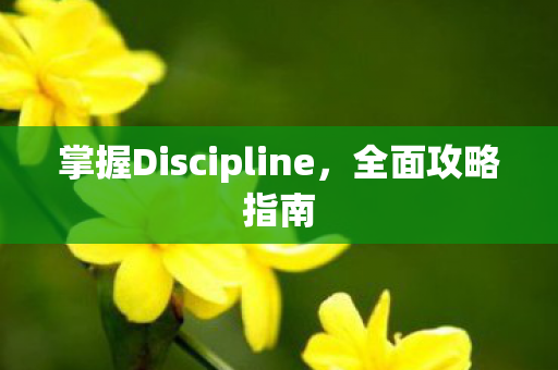 掌握Discipline图片