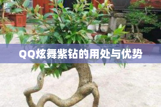 QQ炫舞紫钻的用处与优势图片