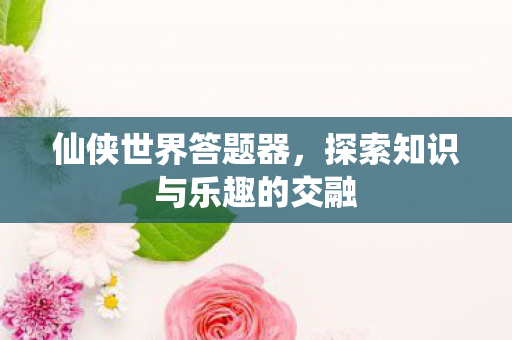 探索知识与乐趣的交融图片