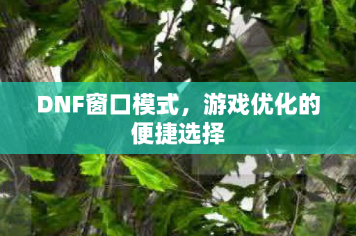 游戏优化的便捷选择图片