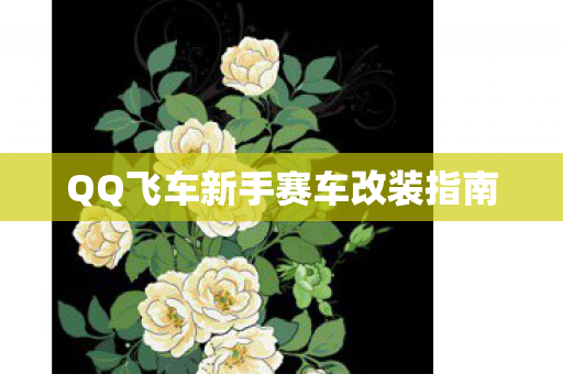 QQ飞车新手赛车改装指南图片