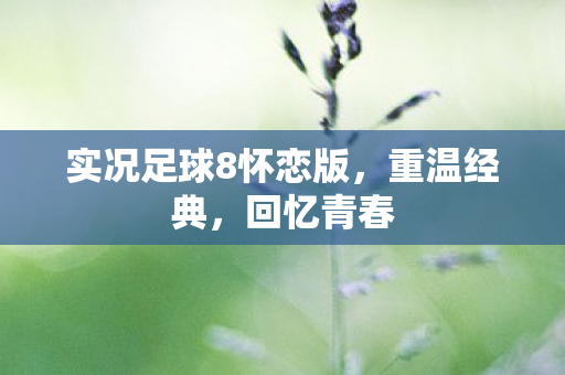 实况足球8怀恋版图片