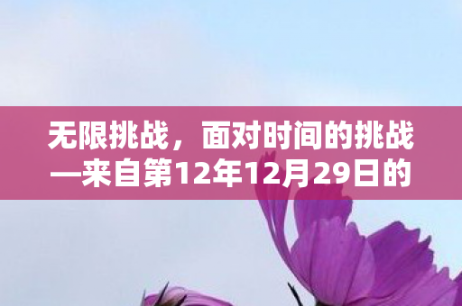 来自第12年12月29日的启示图片