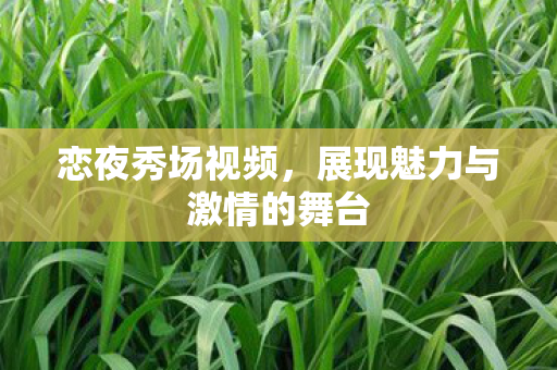 展现魅力与激情的舞台图片