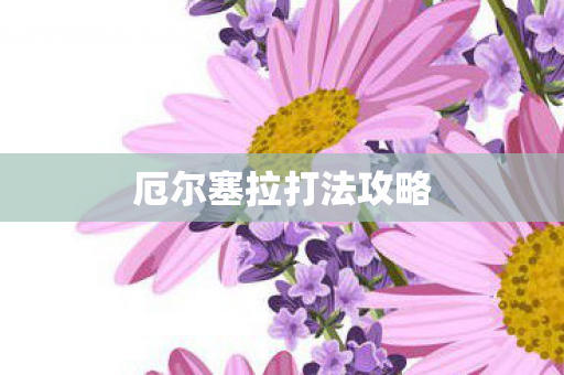 厄尔塞拉打法攻略图片