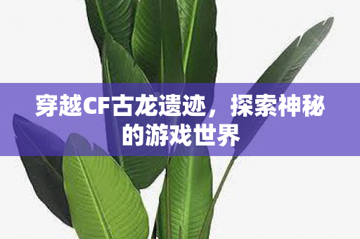 探索神秘的游戏世界图片
