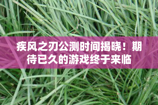期待已久的游戏终于来临图片
