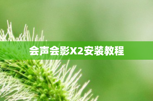 会声会影X2安装教程图片