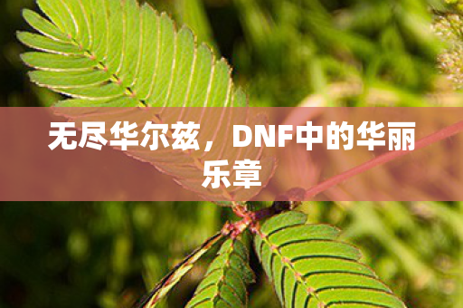 DNF中的华丽乐章图片