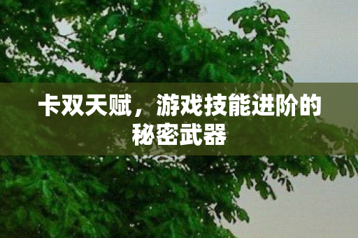 游戏技能进阶的秘密武器图片