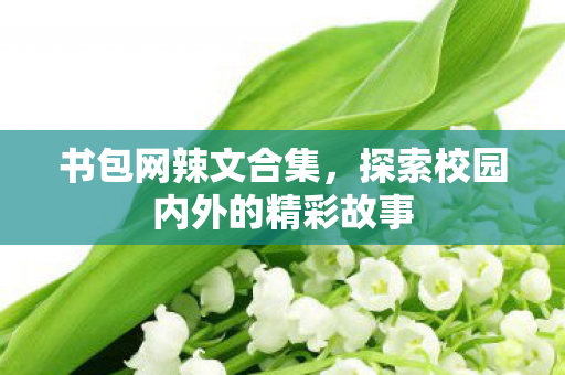 探索校园内外的精彩故事图片
