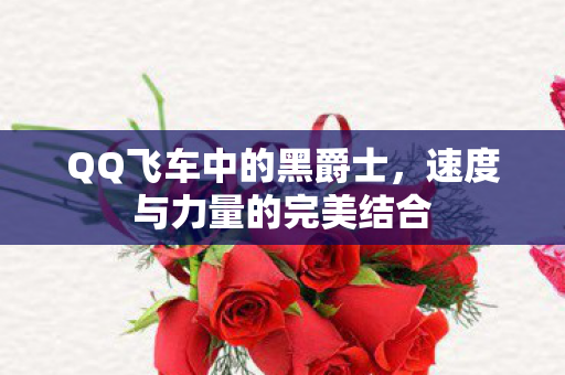 速度与力量的完美结合图片