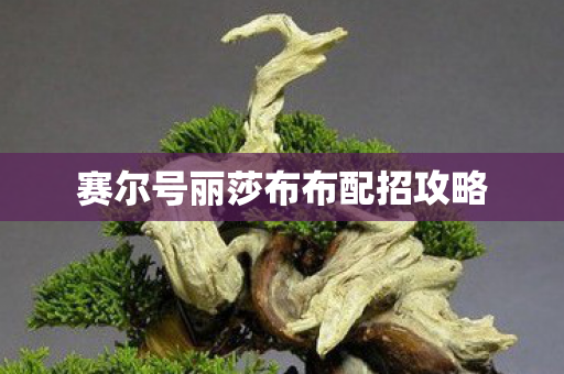 赛尔号丽莎布布配招攻略图片