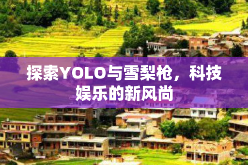 探索YOLO与雪梨枪图片