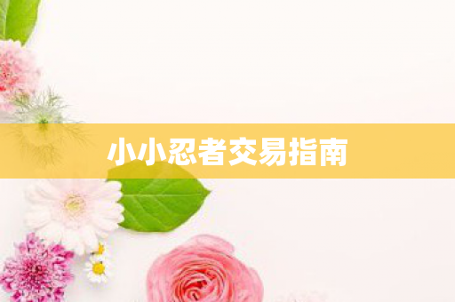 小小忍者交易指南图片
