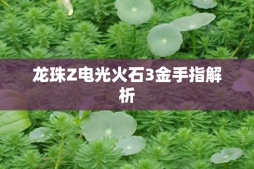 龙珠Z电光火石3金手指解析图片