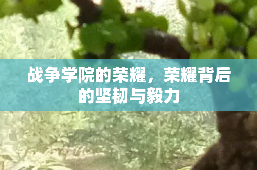 荣耀背后的坚韧与毅力图片